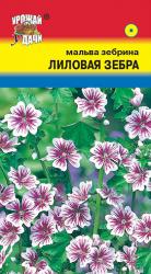 цв. одн. МАЛЬВА  ЗЕБРИНА  ЛИЛОВАЯ  ЗЕБРА  / Урожай у Дачи /  